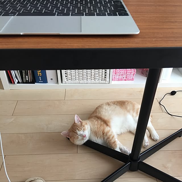 korinkorinさんの実例写真