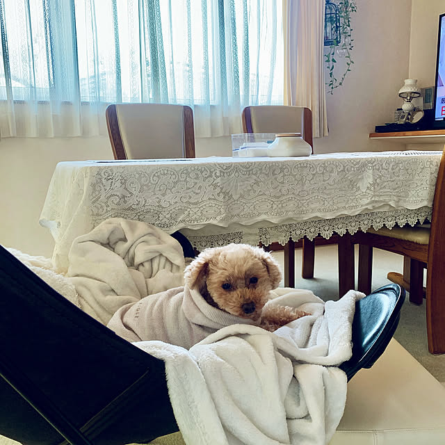 Momoさんの部屋