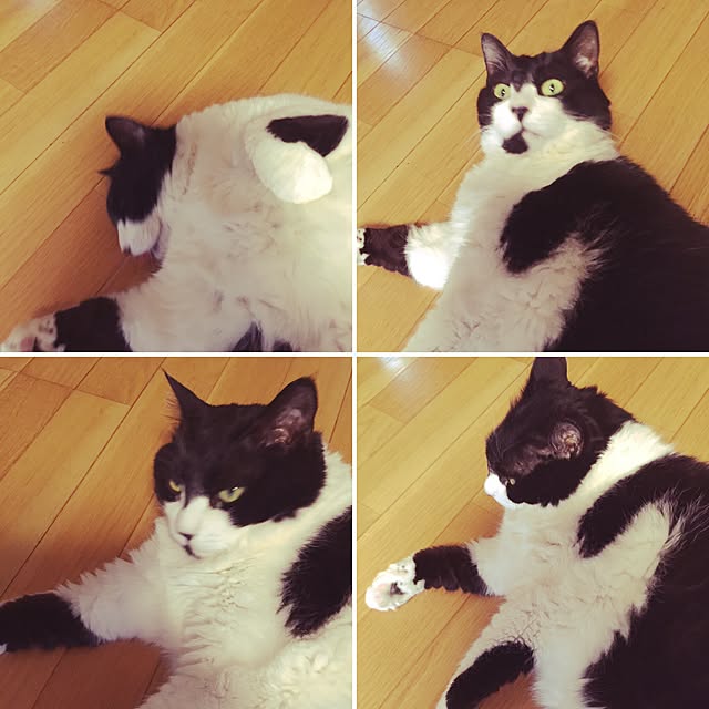 実例写真