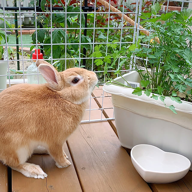 Michiさんの実例写真