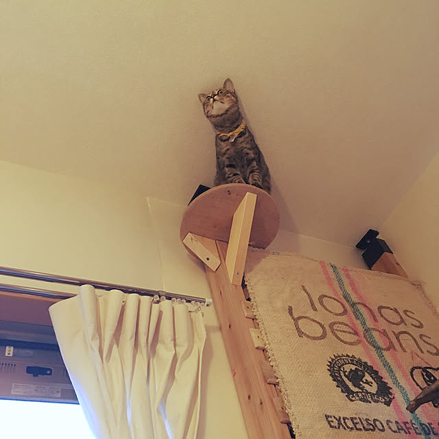 Mさんの実例写真