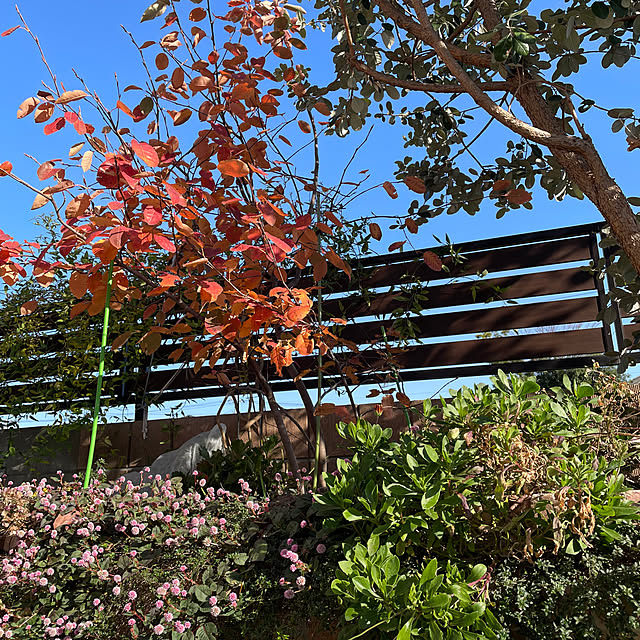 ronronさんの実例写真