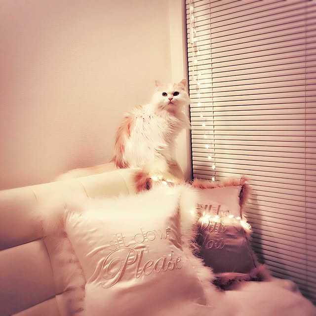 macaron_gallさんの実例写真
