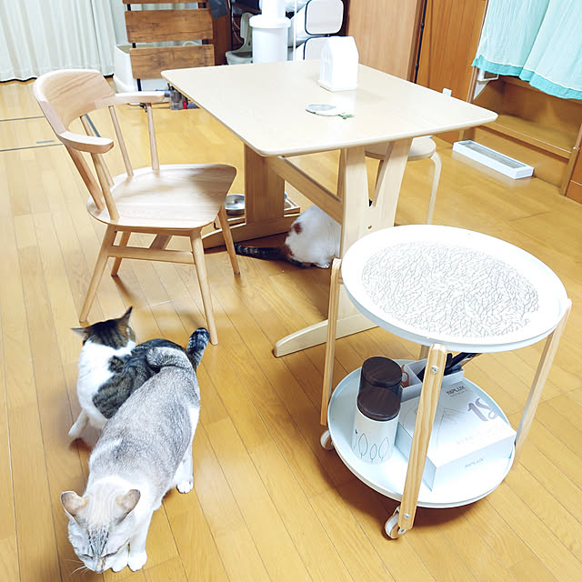 nachiさんの実例写真