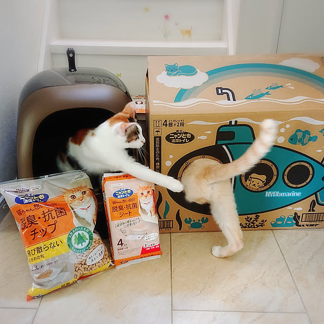 Gomaさんの実例写真