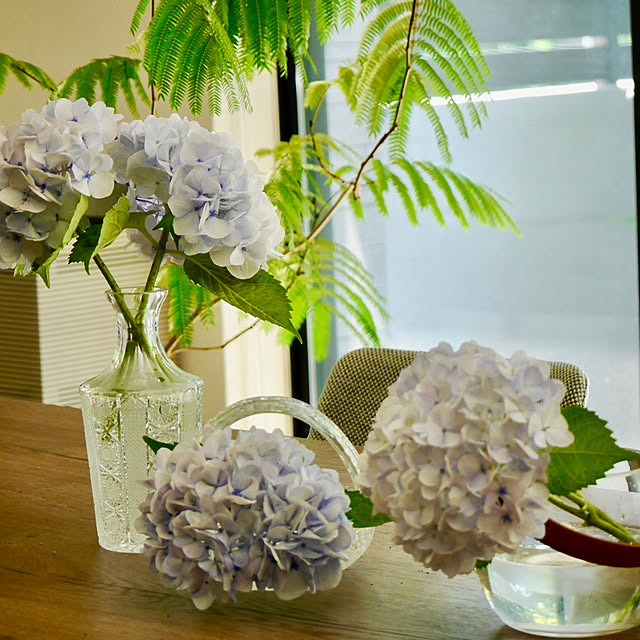 Norikaさんの部屋
