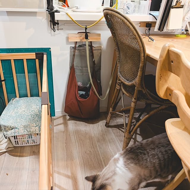 soraさんの実例写真