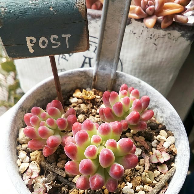 VERANDARJUNさんの実例写真