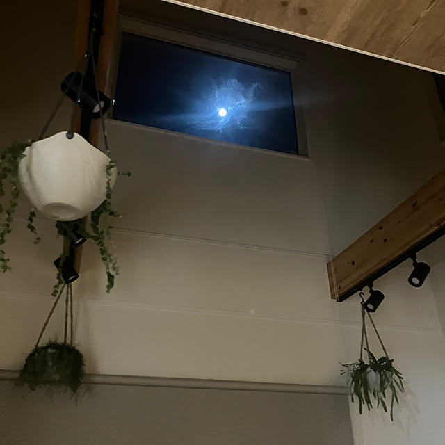 shin-chaa-mamaさんの部屋