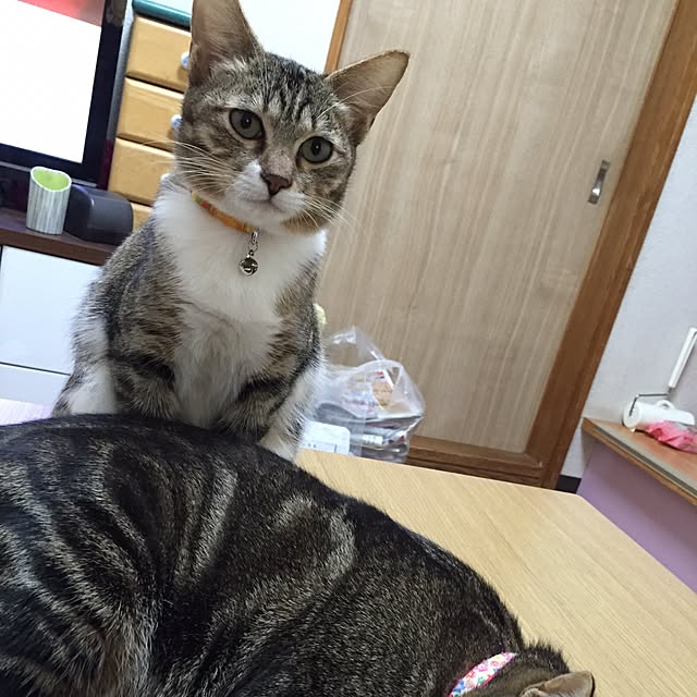 MARON1111さんの実例写真