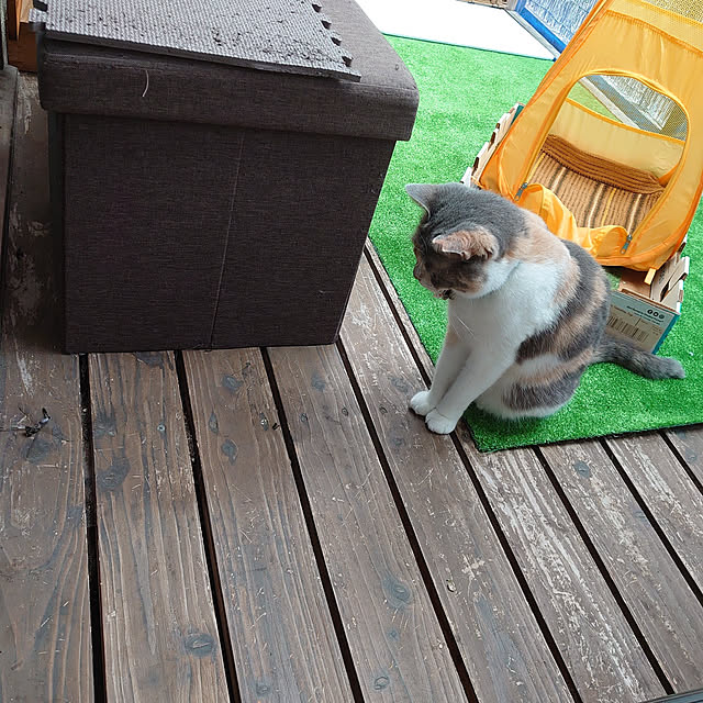 fukuさんの実例写真