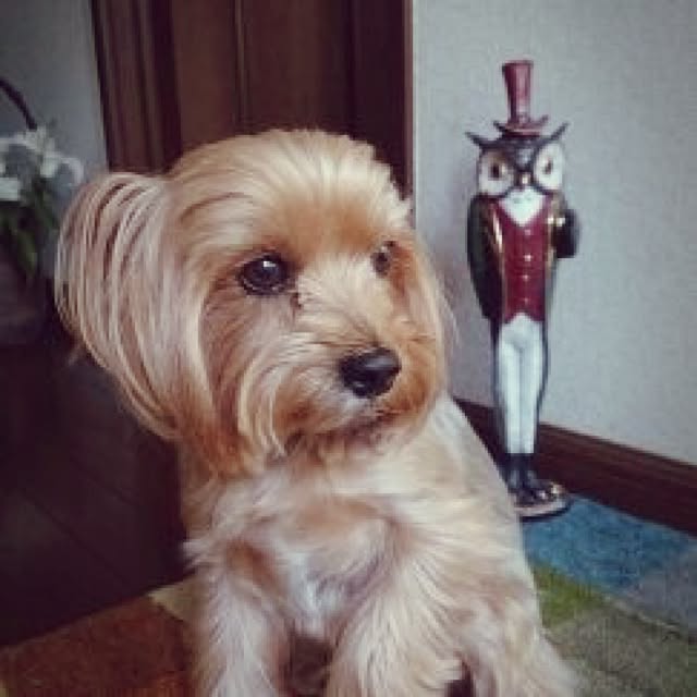kazu0905さんの実例写真