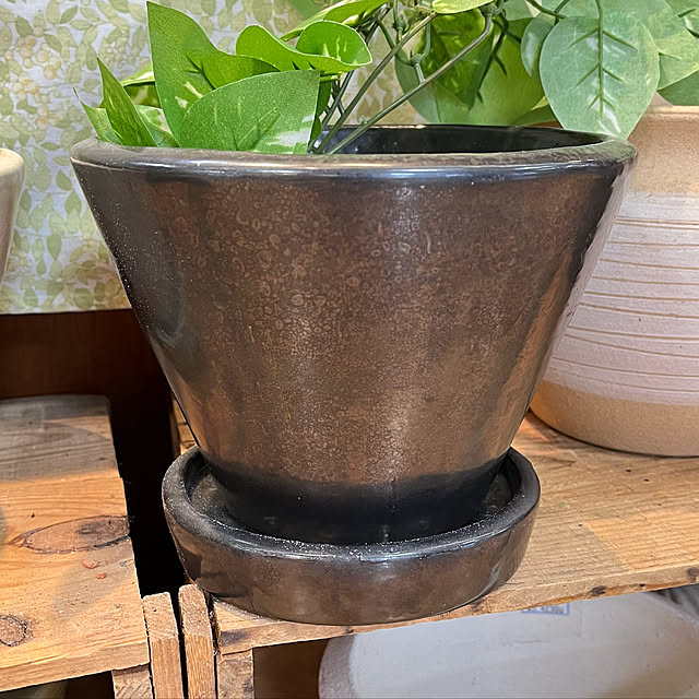 siosai10さんの実例写真