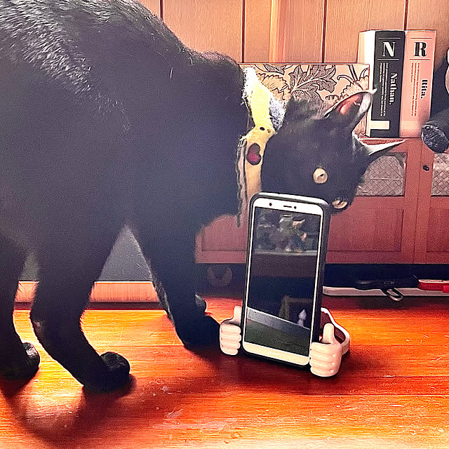jijiさんの実例写真