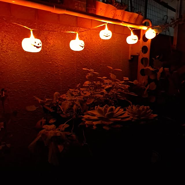 noaさんの部屋