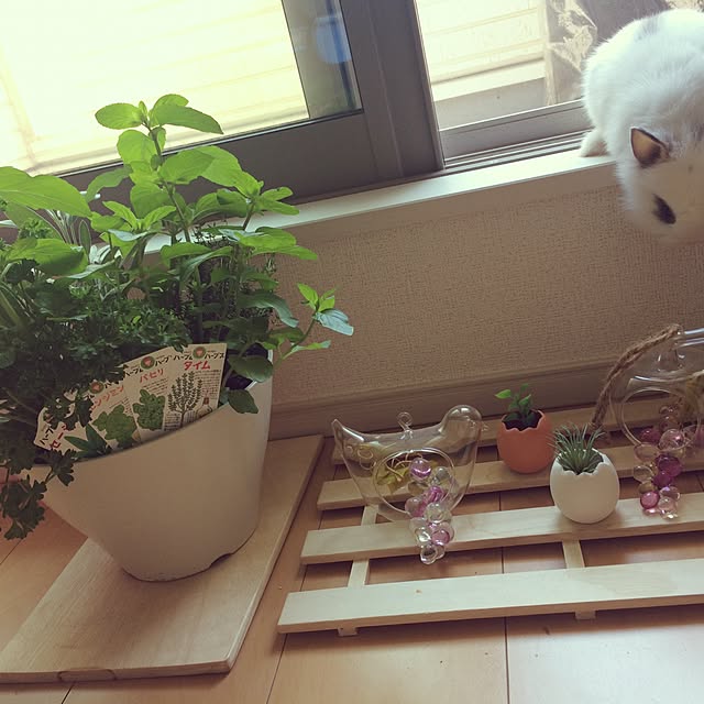 imuranさんの実例写真