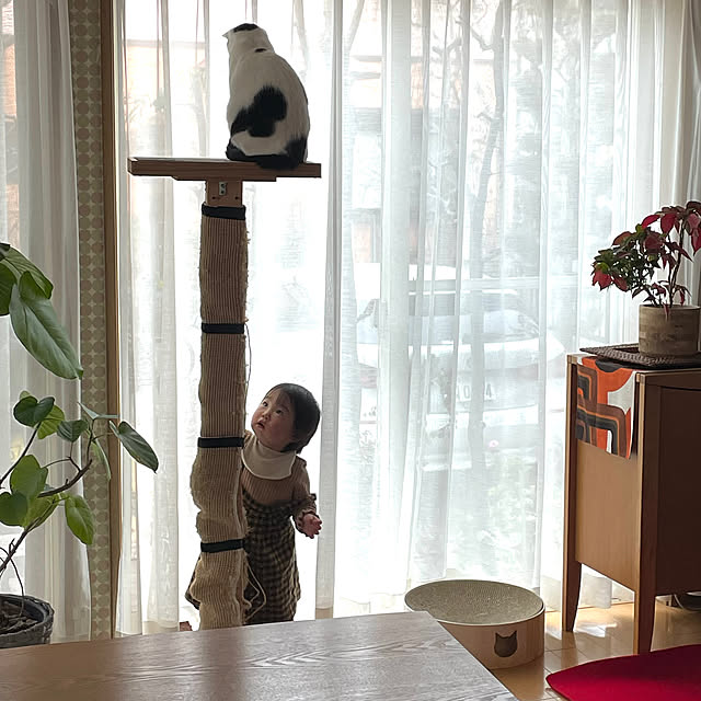 nobikoさんの部屋