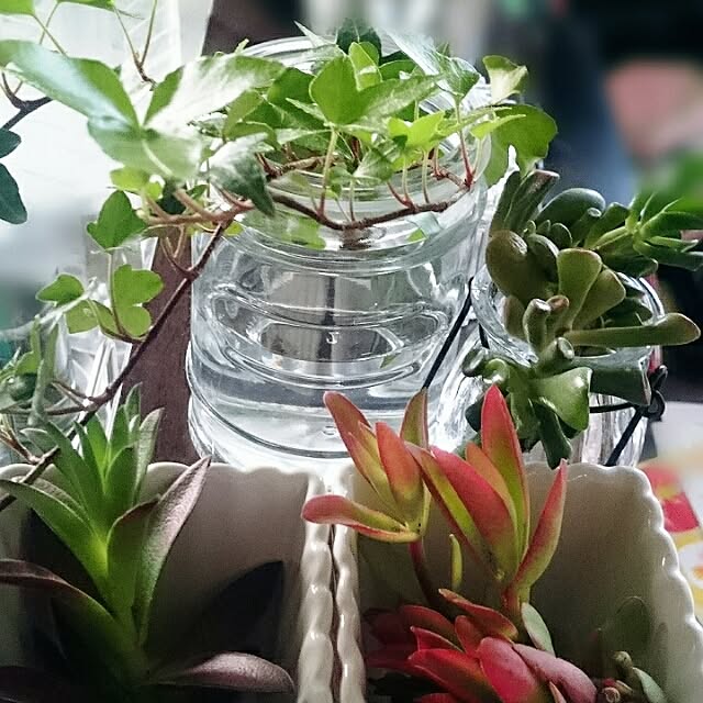 実例写真