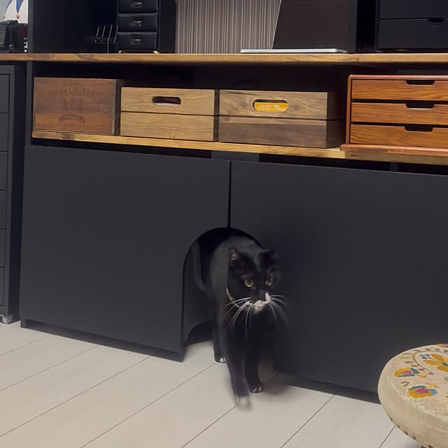 chicaさんの部屋