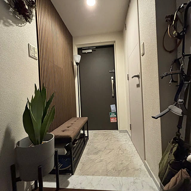 taigonさんの実例写真