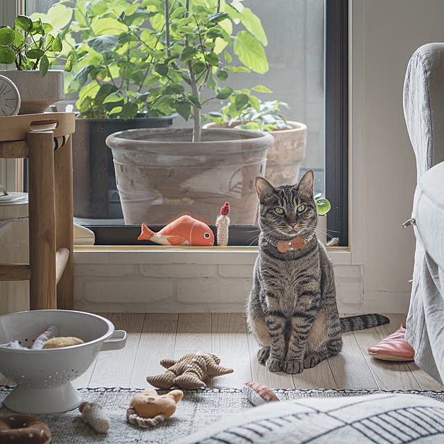 oliveさんの実例写真