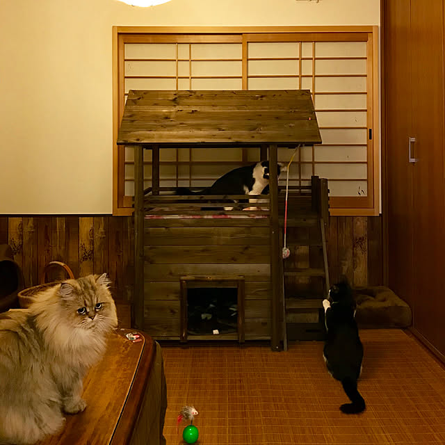 butachanさんの実例写真