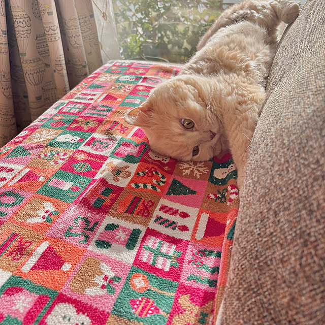 naokoさんの実例写真
