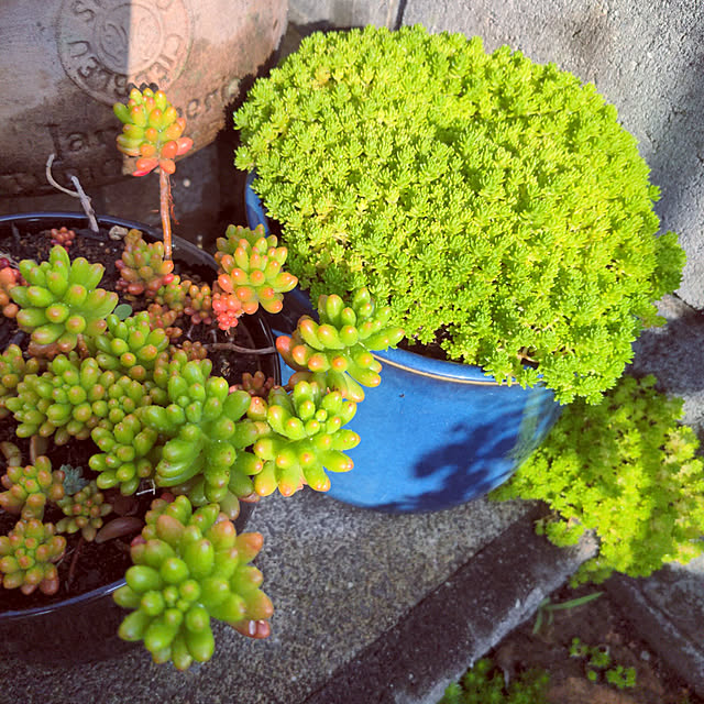 ryo.kotaさんの実例写真