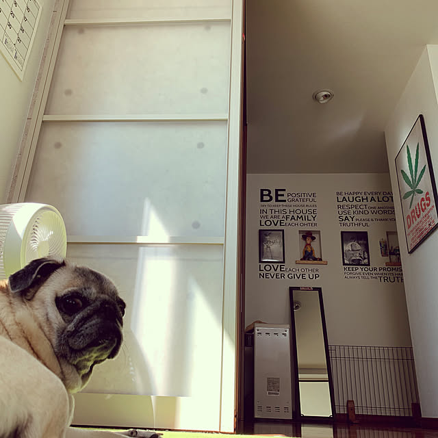 kellyさんの実例写真