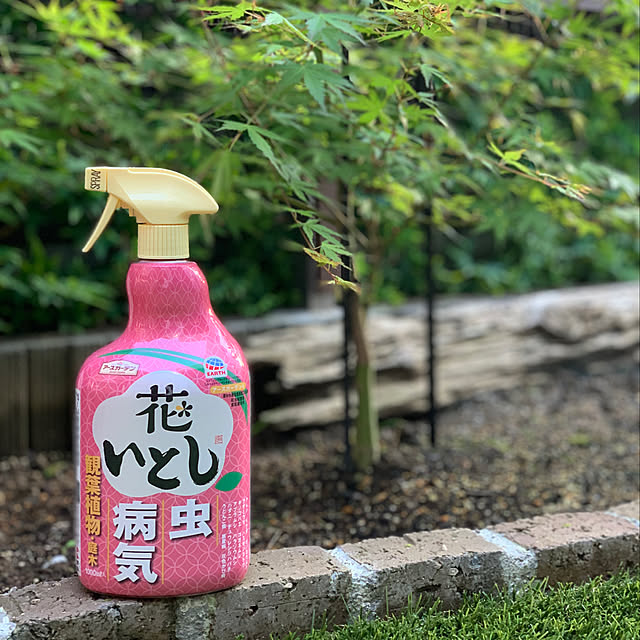 totaryuさんの実例写真