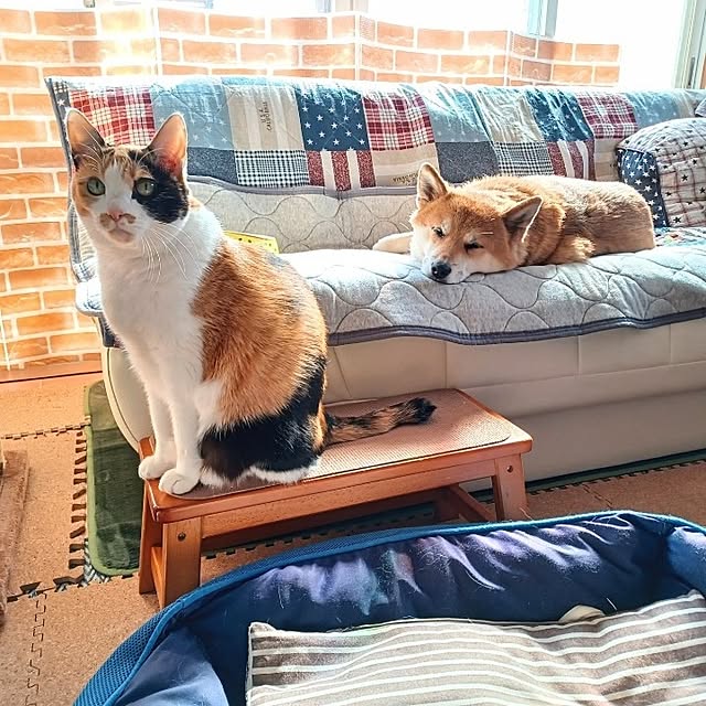 nanaさんの実例写真