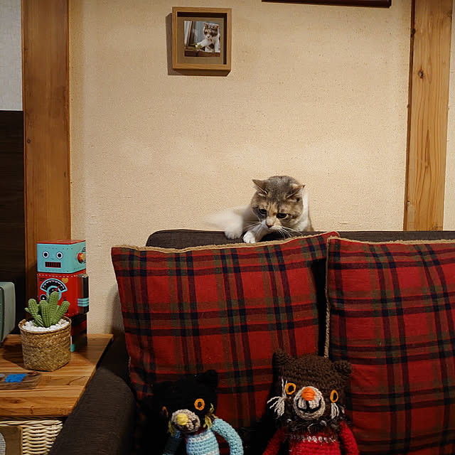 fukuさんの実例写真