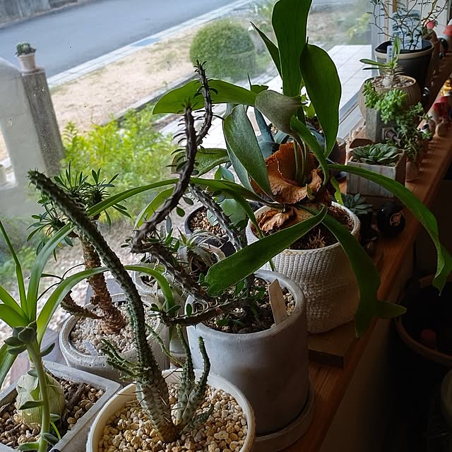 t.yumiさんの部屋