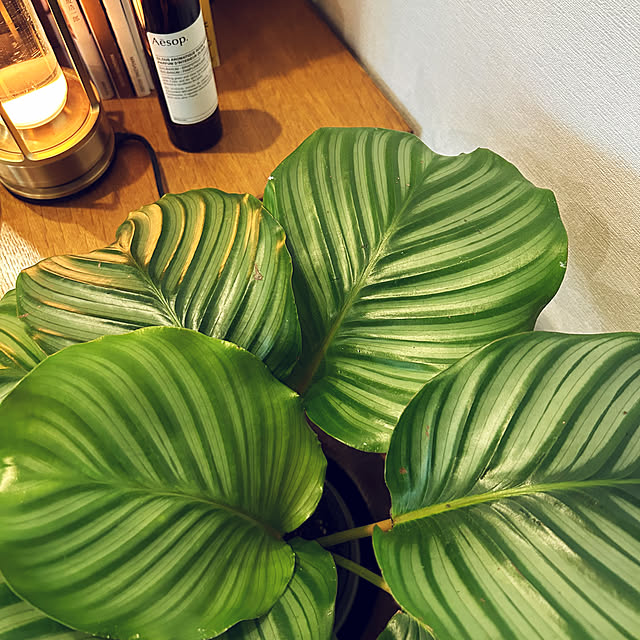 happy-sachiさんの実例写真