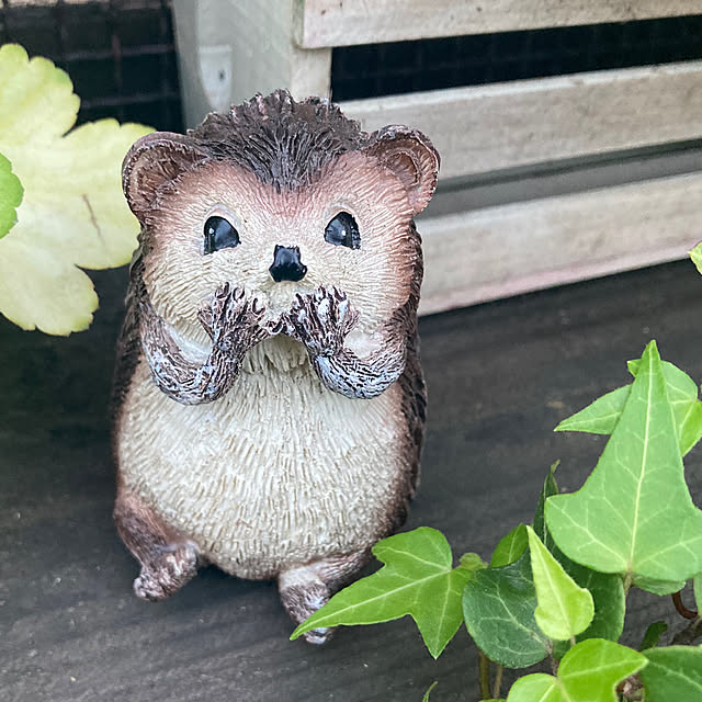 usako66さんの部屋