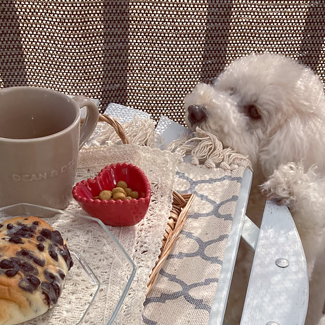madamkaoriさんの部屋