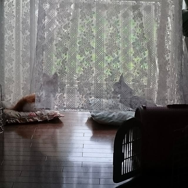 Bienvenueさんの部屋