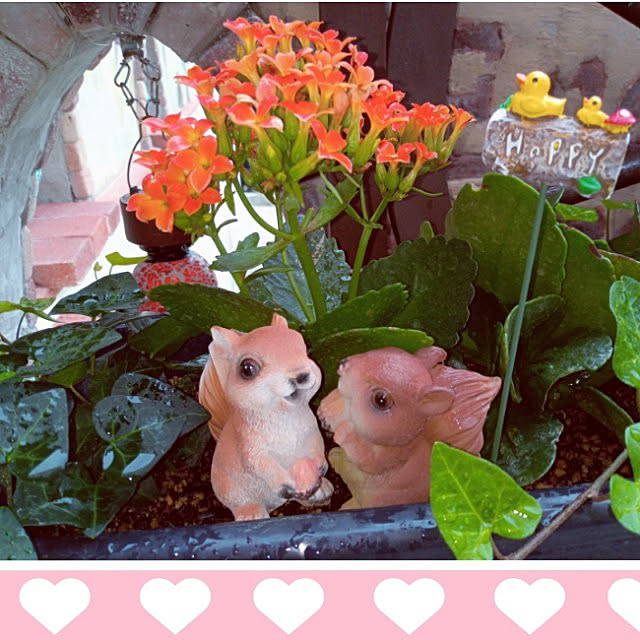 mocomocoさんの実例写真
