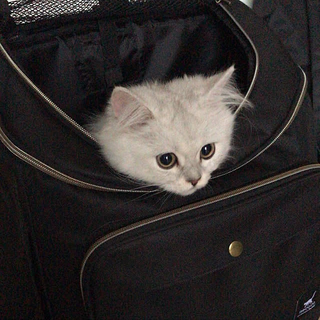 Natsuさんの実例写真