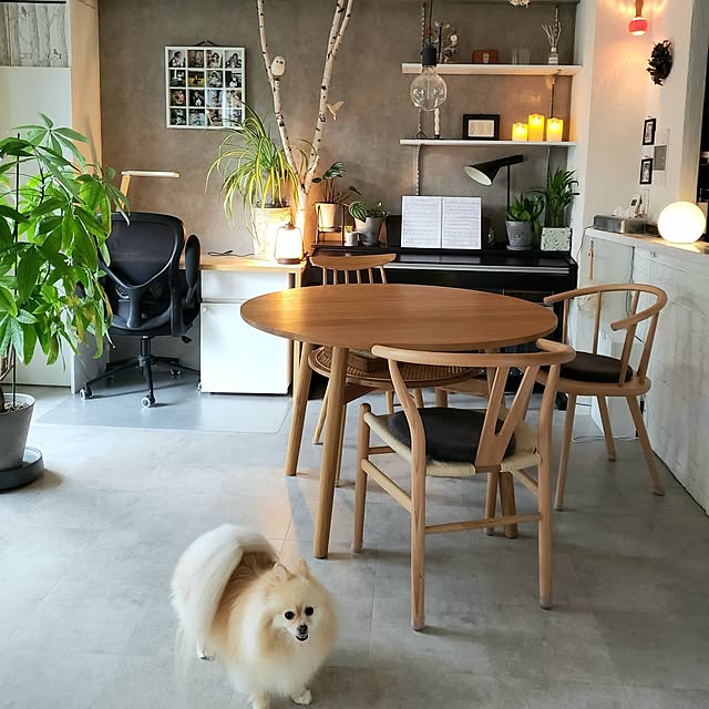 HYさんの実例写真