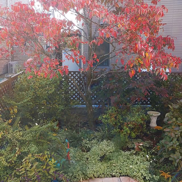 Hujikoさんの実例写真