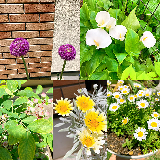 sunabaさんの実例写真