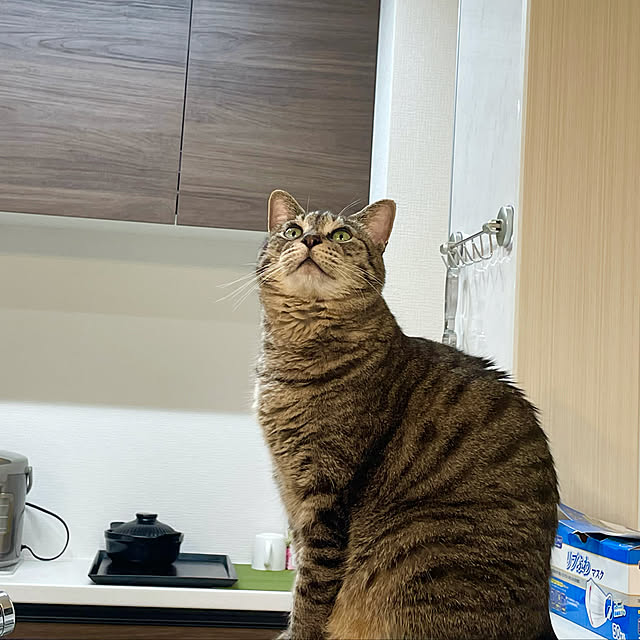 Shinさんの実例写真