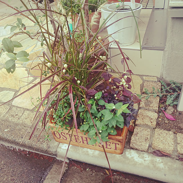 stsenjuさんの実例写真