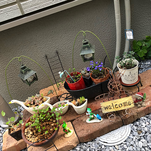 megmagさんの実例写真