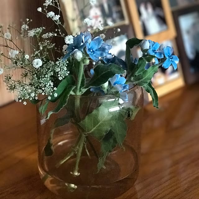 ベッド周り/観葉植物/ナチュラルのインテリア実例 - 2017-05-01 14:33:12