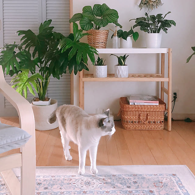 milkcocoaさんの部屋