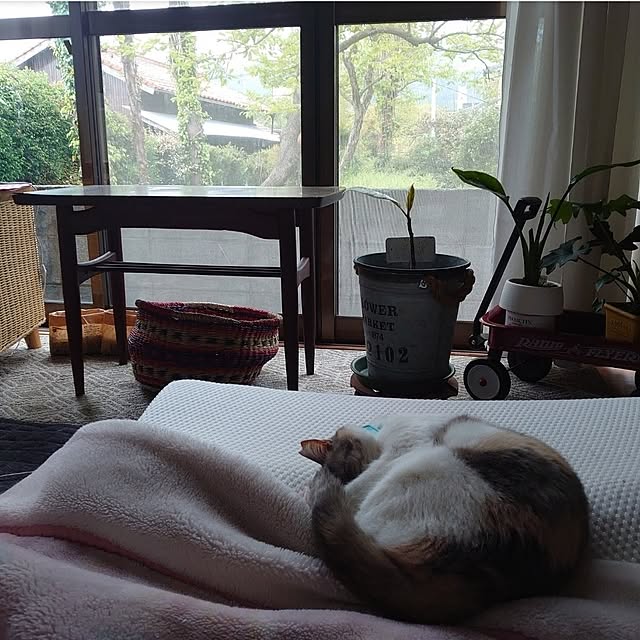 fukuさんの部屋