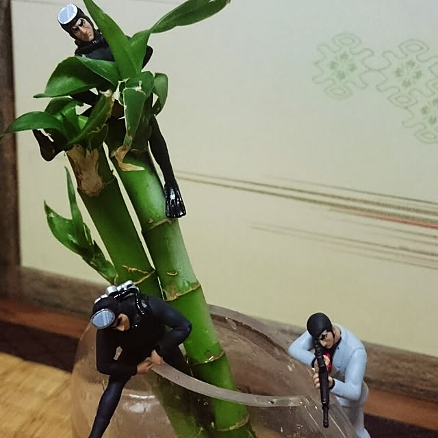 torimi4さんの実例写真