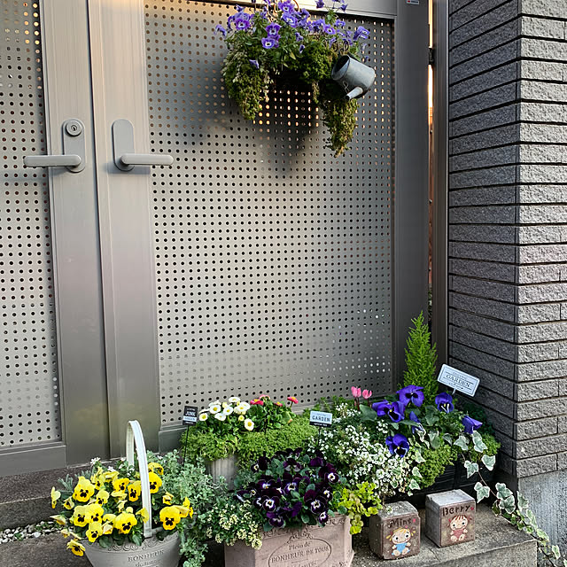 maayaさんの部屋